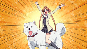 Aho Girl
